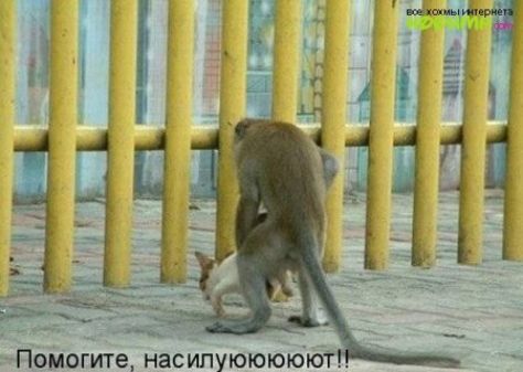 Помогите насилуюююю