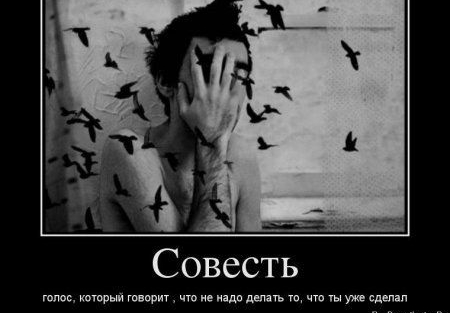 Совесть гопов хитрый том же или шап щ чта гы уме сделан