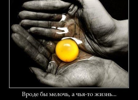 Вроде бы мелочь а чьягто жизнь