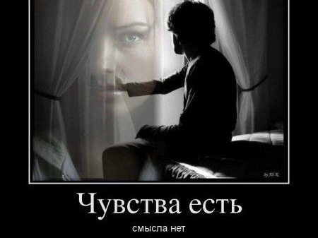 Чувства есть смысла нет