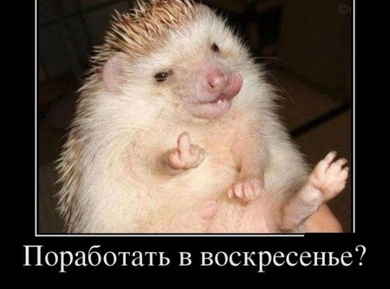 Поработать в воскресенье