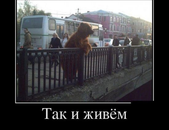 Так И живём