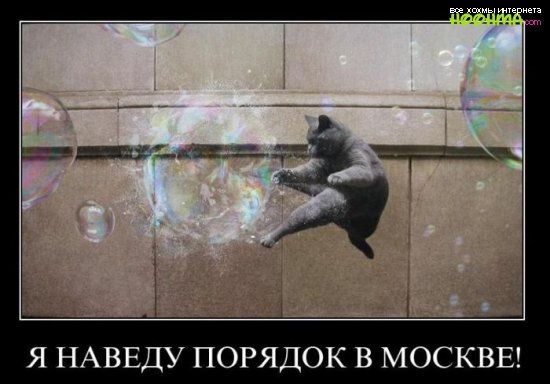 я НАВЕДУ порядок в МОСКВЕ