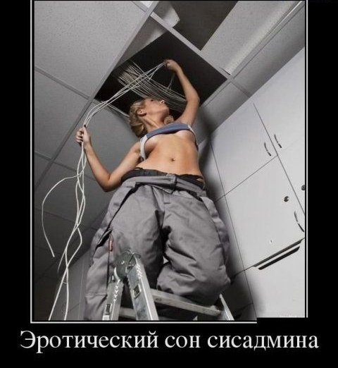 Эротический сон сисадмина