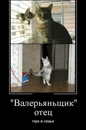 Валерьяньщик отец горе в семье