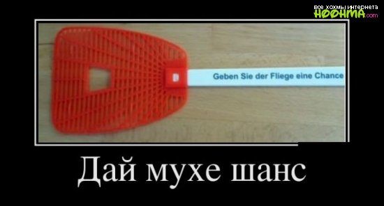 Дай мухе шанс