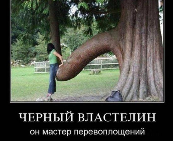 ЧЕРНЫЙ ВЛАСТЕЛИН ОН мастер перевоплощений