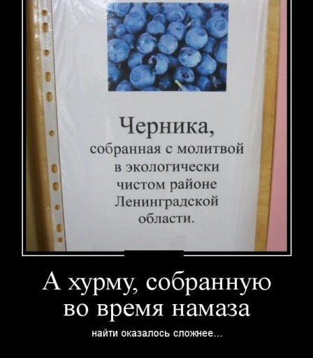 Черника сидршншя с шинной п кщотичсски чис рийопс Лснингрмскціі благ А хурму собранную во время намаза найти оказалось сложнее