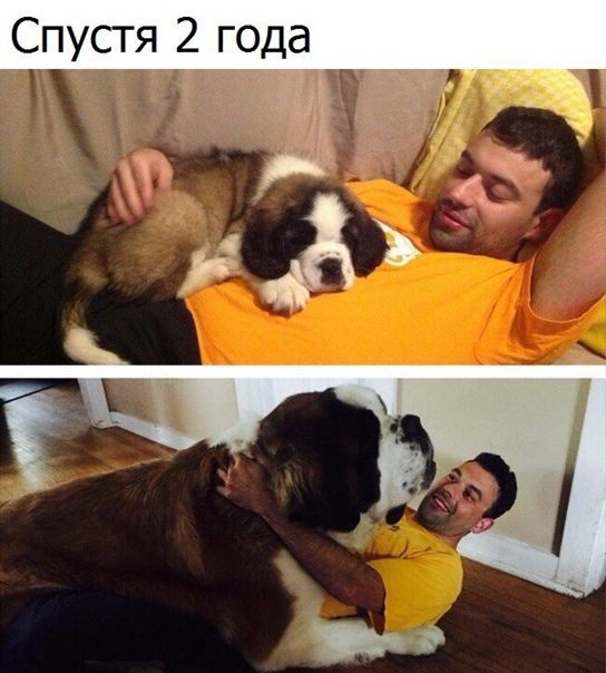 Спустя 2 года