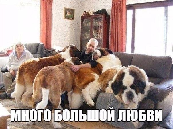 _ а _ тд ь