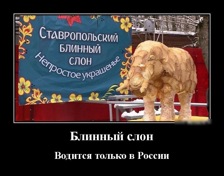 Блинный слон Водится только в России