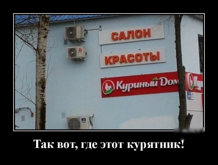 Так вот где этот курятник