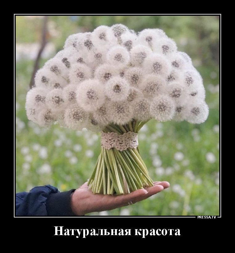 Натуральная красота