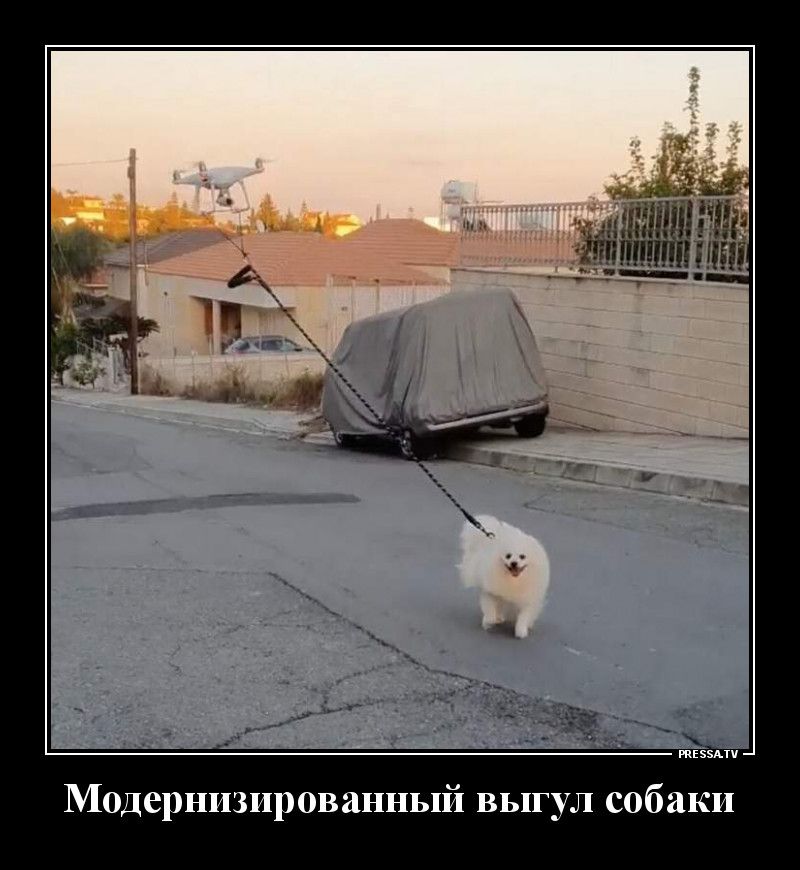 пт __ 5115 1 ты Модернизированный выгул собаки