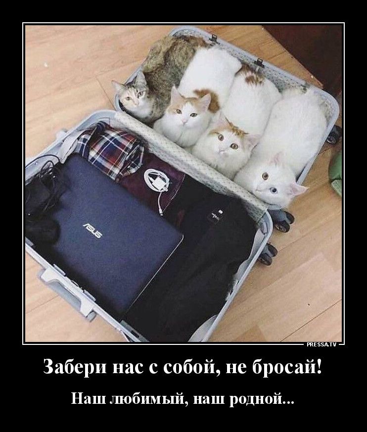 ы Забери нас с собой не бросай тЕээАти Наш любимый наш родной