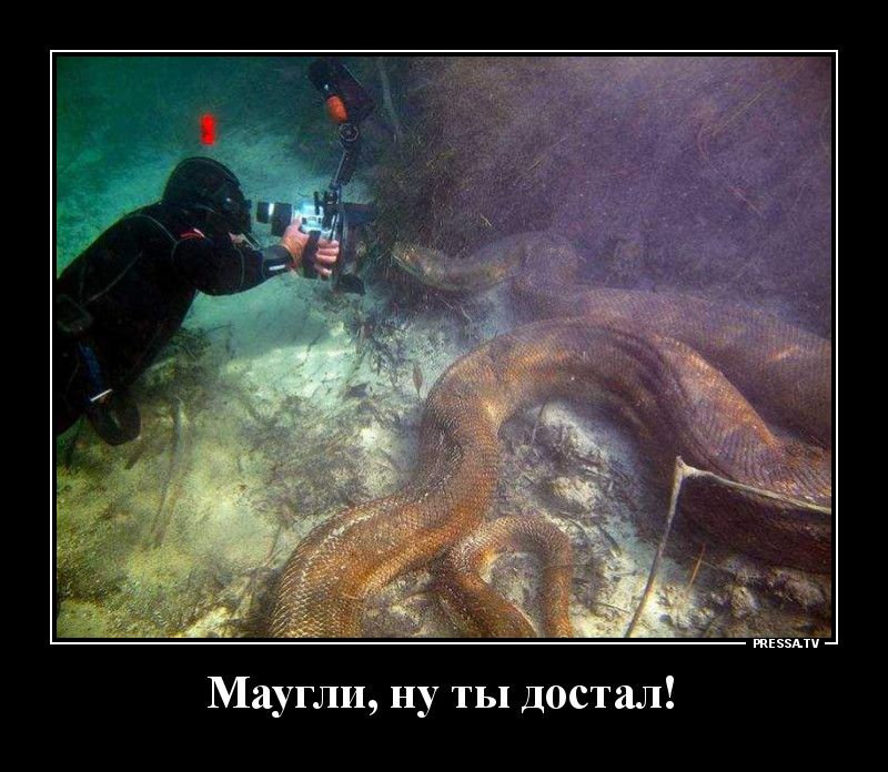 тЕззАтп Мау и ну ты достал
