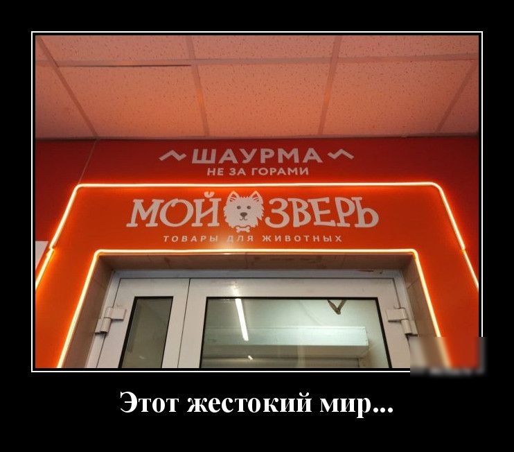 ШАУЪ4А4 НЕ ЗА ГОРАМИ Ё ч т Этот жестокий мир