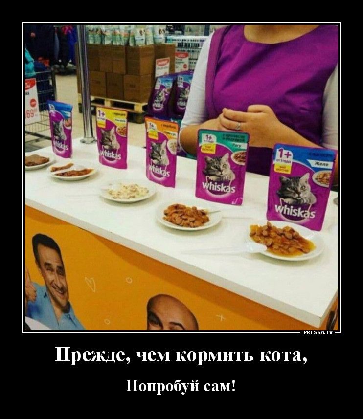 тззми Прежде чем кормить кота Попробуй сам