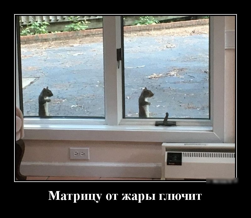 НПННШНППНПШ Матрицу от жары глючит