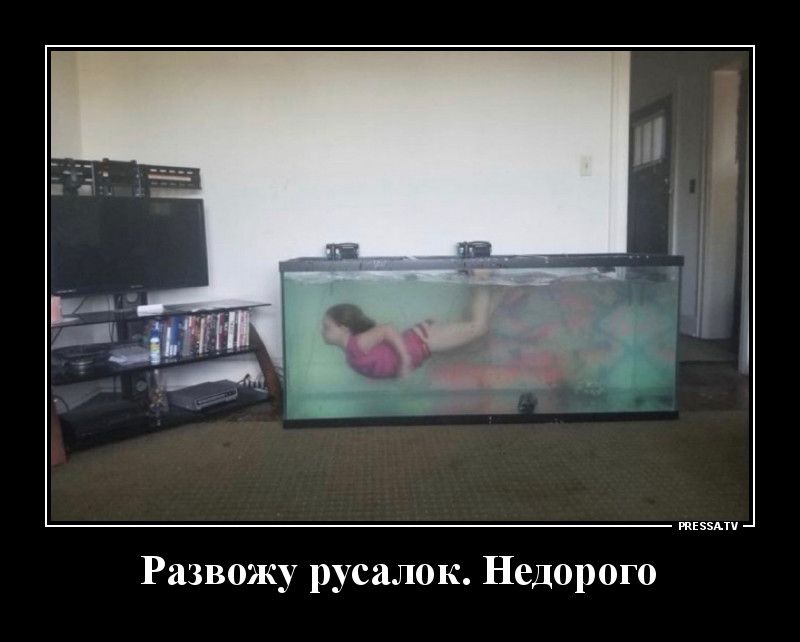 Развожу русалок Недорого