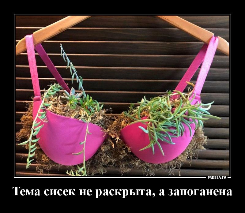 Тема сисек не раскрыта а запоганена