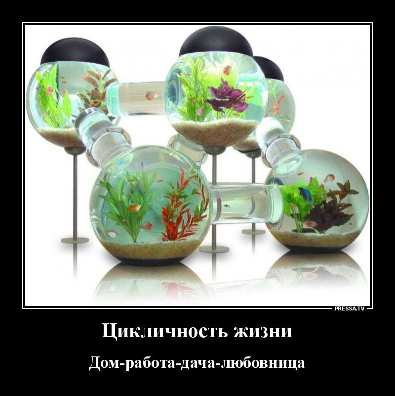 тіээпч ЦЦКЛЦЧНОСТЬ ЖЦЗНЦ ДОМ работадача любовница