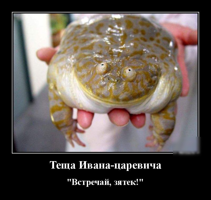 Теща Ивана царевича Встречай зятек