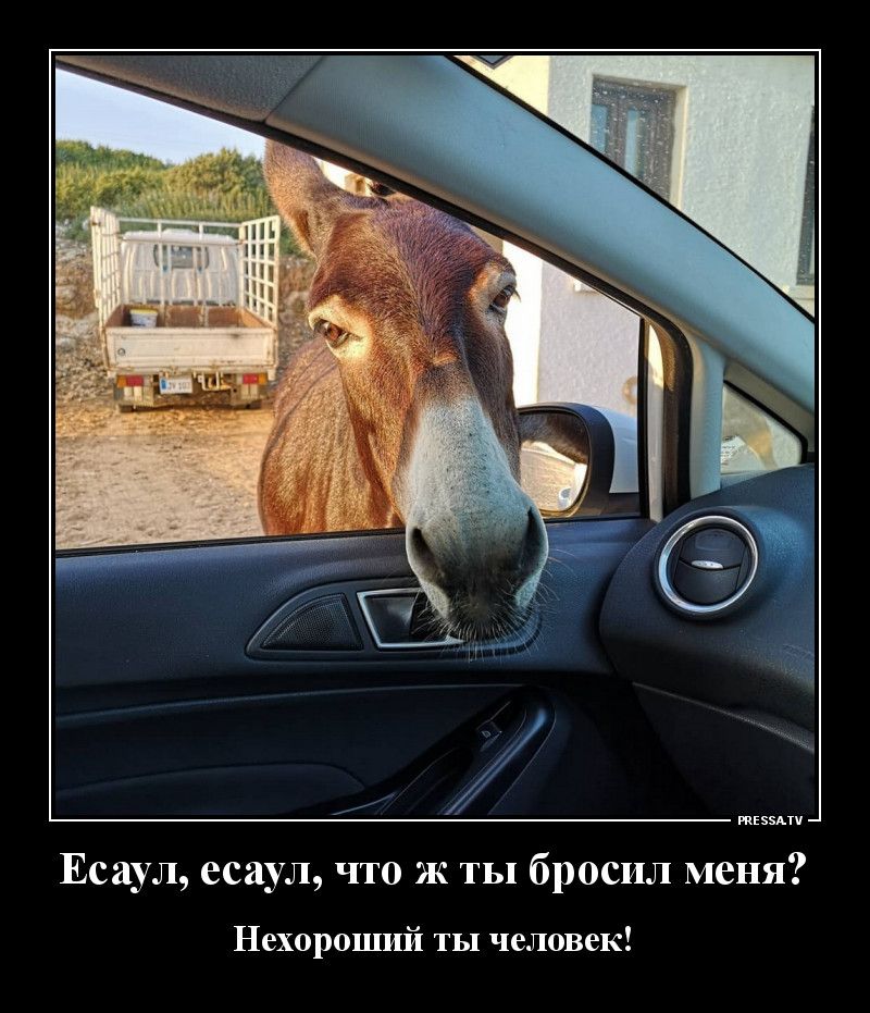 тззми Есаул есаул что ж ты бросил меня Нехороший ты человек