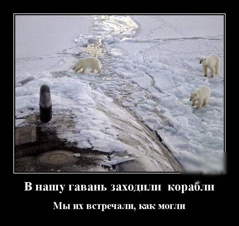 В нашу гавань заходили корабли МЫ их встречали как могли