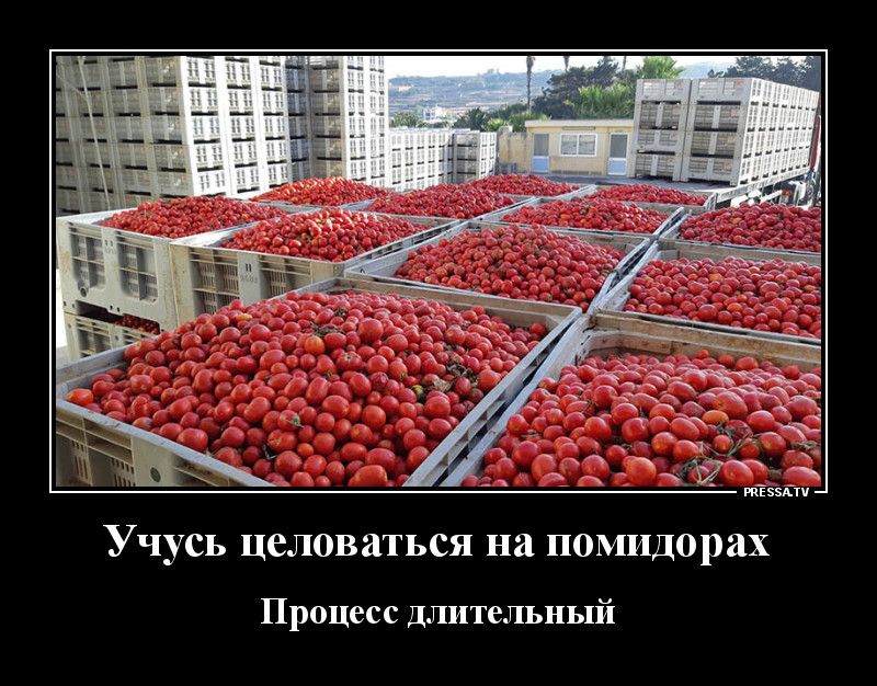 Учусь ЦСЛОВЗТЬСЯ на помидорах й Процесс ДЛИТеЛЬНЬ