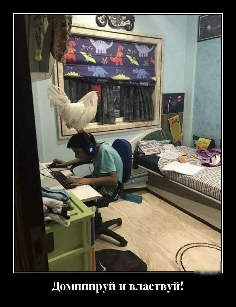 Уй Уй и властв Доминир