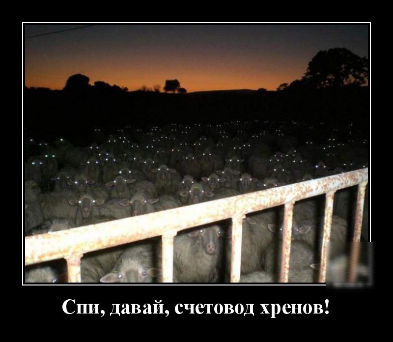 Спи давай счетовод хренов