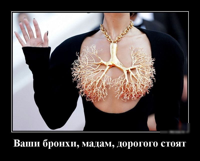 мадам Д0р0Г0Г0 СТОЯТ Ваши бронхи
