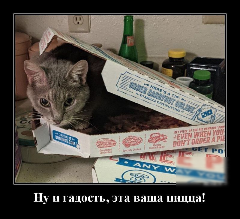 Ну и гадость эта ваша пицца