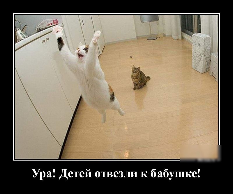 Ура Детей отвезли к бабушке