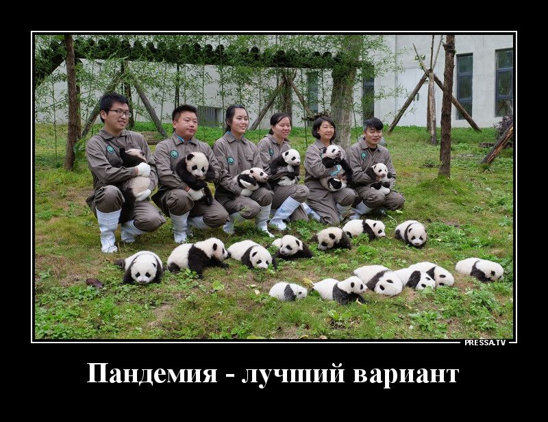 тззми Пандемия лучший вариант