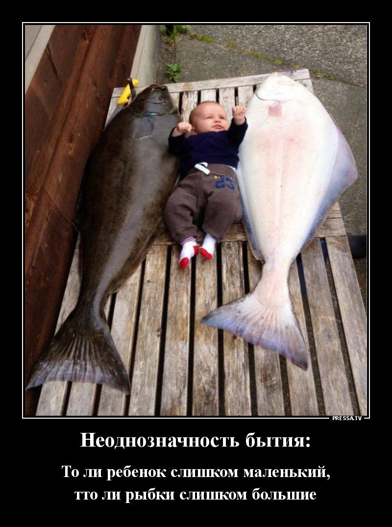 3 Неоднозначность бытия То ли ребенок сгшшком маленький тто ли рыбки сжшшком большие тззми