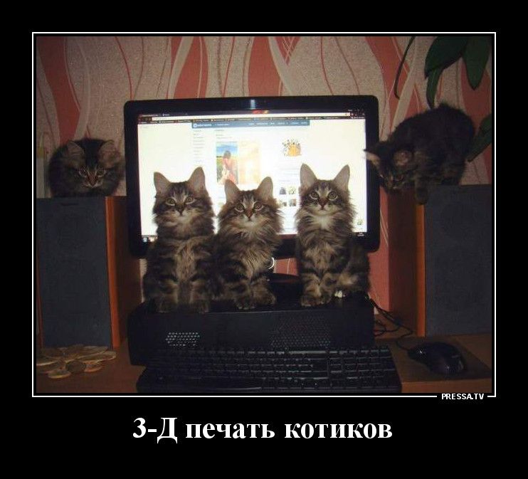 3 Д печать котиков