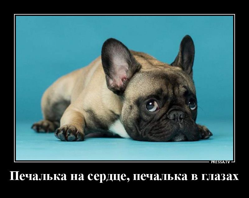 тззми Печалька на сердце печалька в глазах