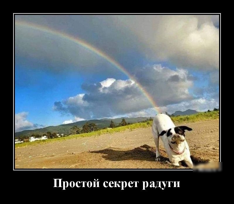 Простой секрет радуги
