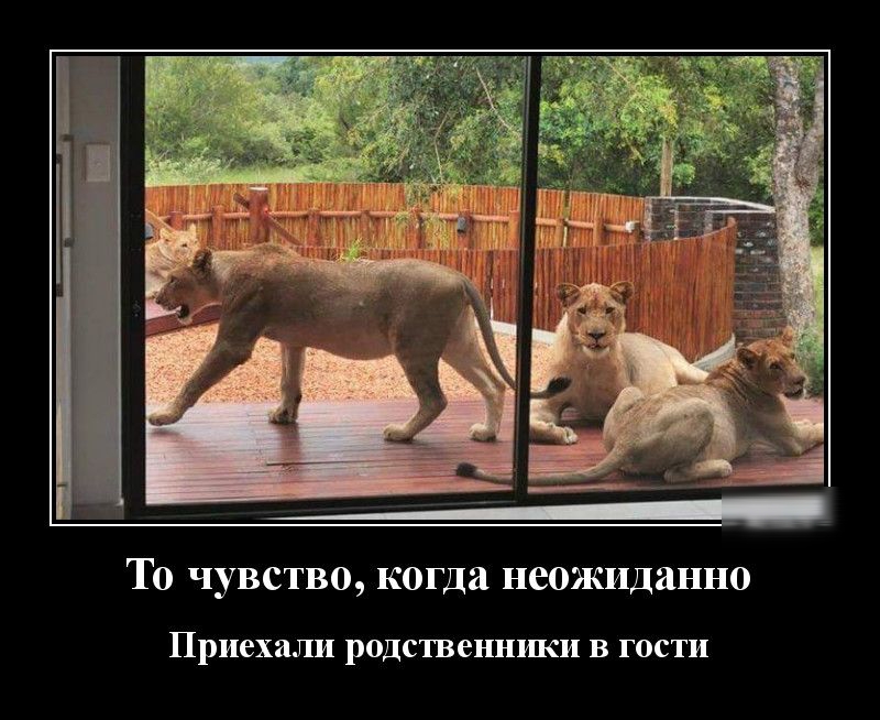 То чувство когда неожиданно Приехали РОДСТВЭННИКИ В ГОСТИ