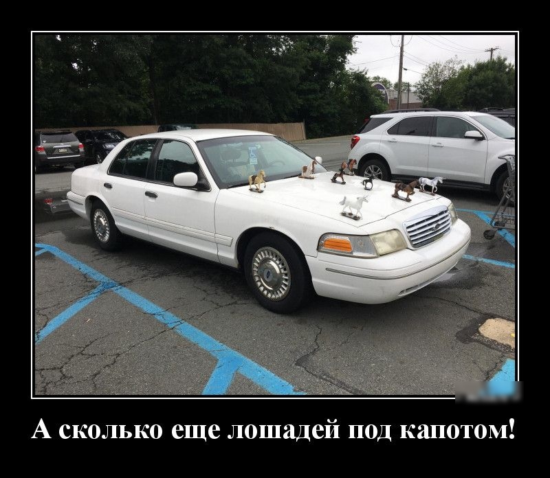 А сколько еще лошадей под капотом