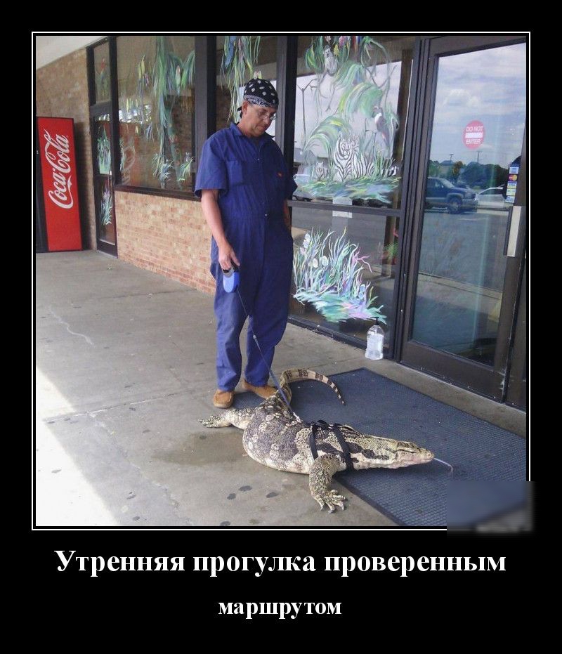 Утренняя прогулка проверенным маршрутом
