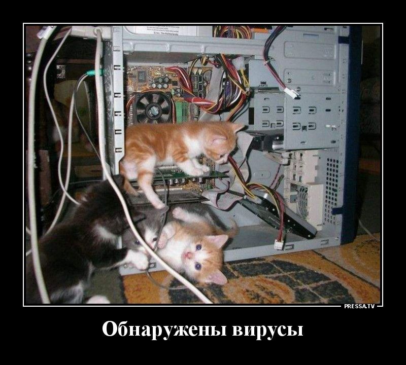 Обнаружены вирусы