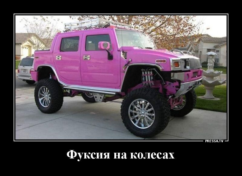 Фуксия на колесах