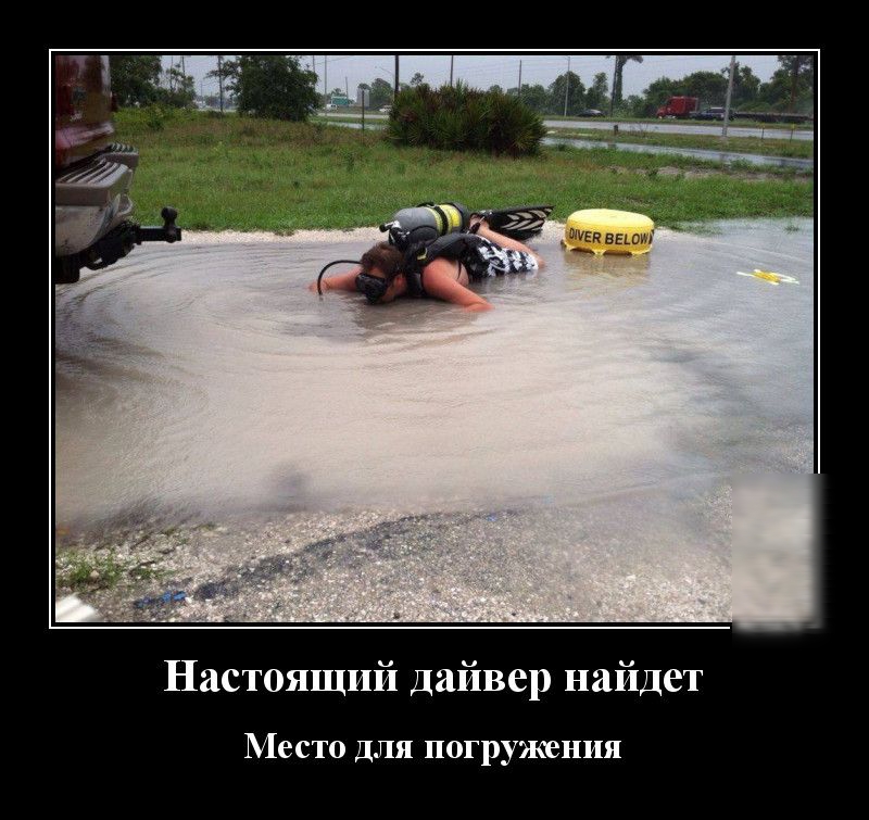 Настоящий дайвер найдет Место для погружения