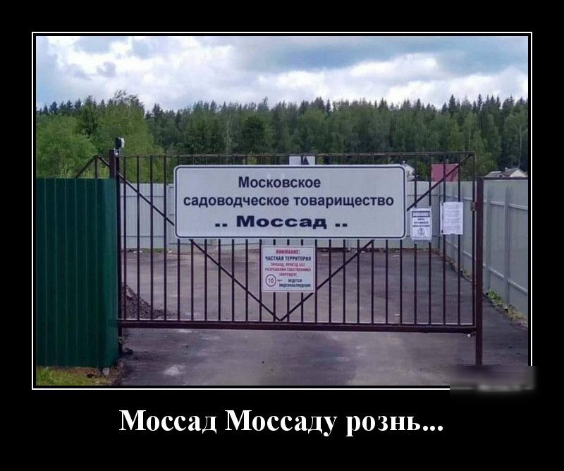 Моссад Моссаду рознь