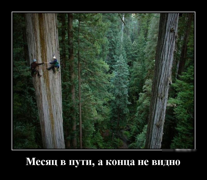 месяц В ПУТИ а КОК ЦЗ не ВИДНО