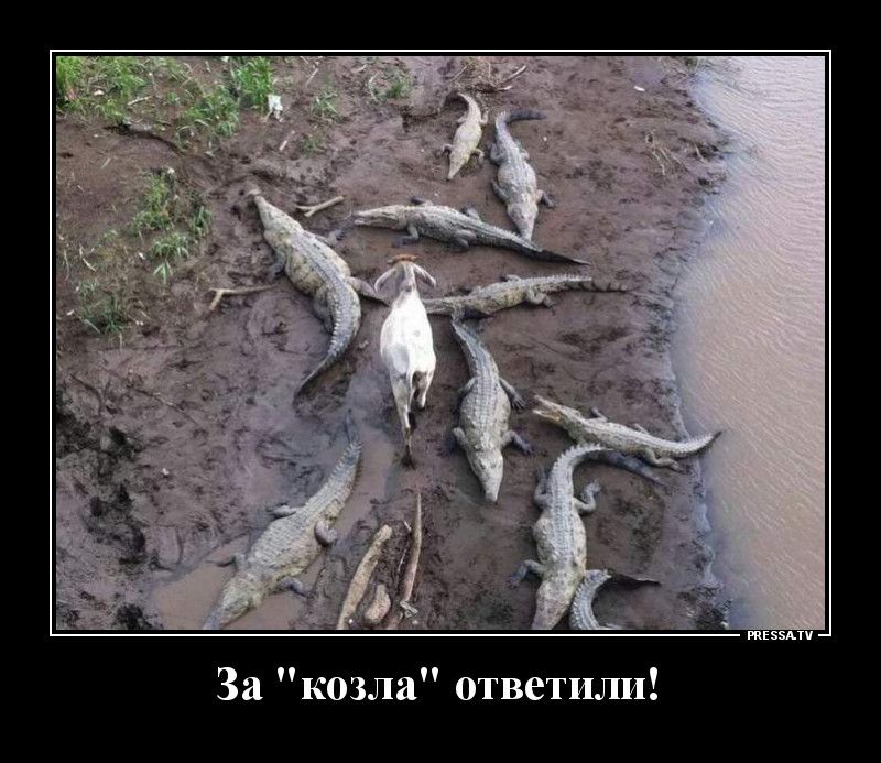 И Л И Т е В Т 0 8 Л 3 0 К а 3