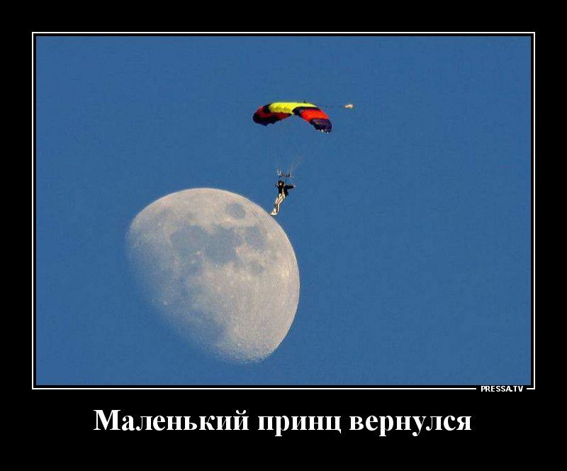 Маленький принц вернулся твц